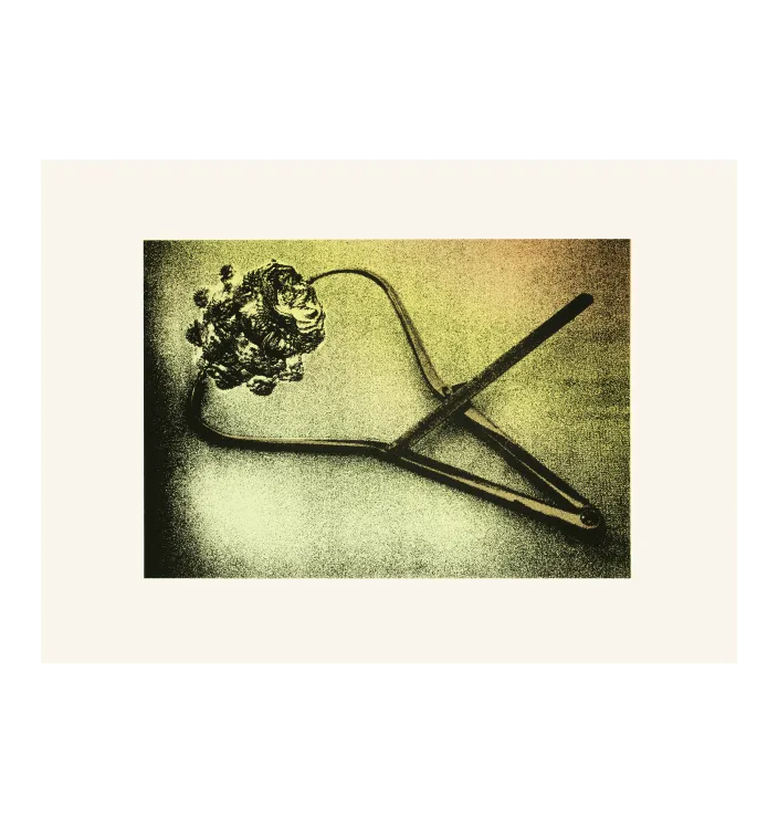 2016 | June III — Marlene Bart