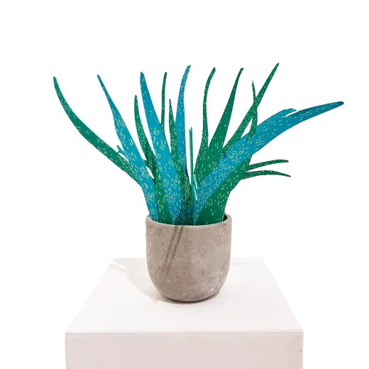 Aloe Vera (türkis)