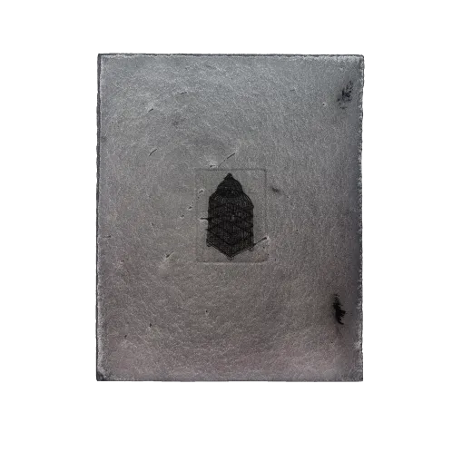 Cage Drawings (Käfigzeichnungen) 04