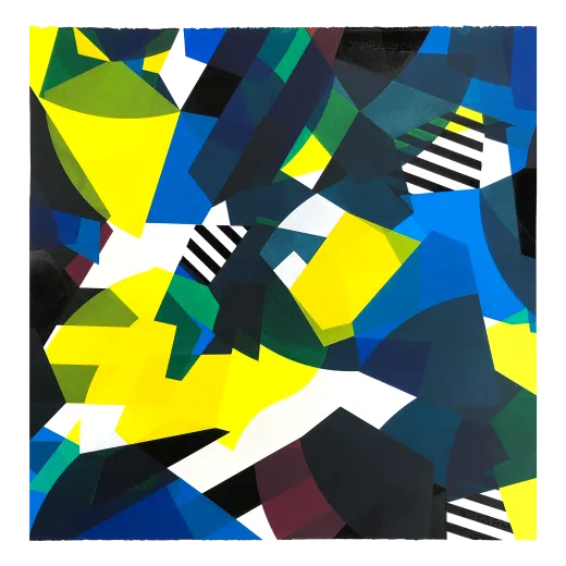 Canopy 1.3