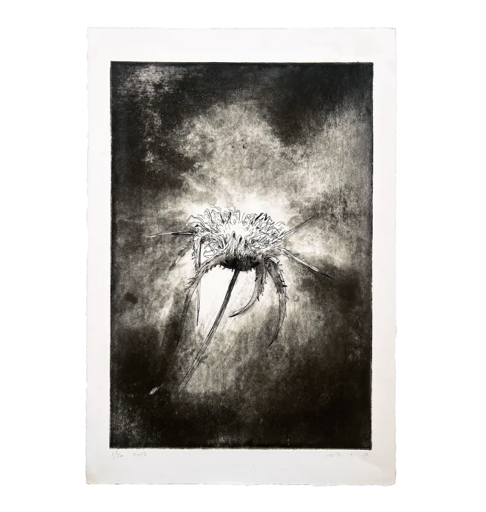 Distel groß — Rotem Ritov