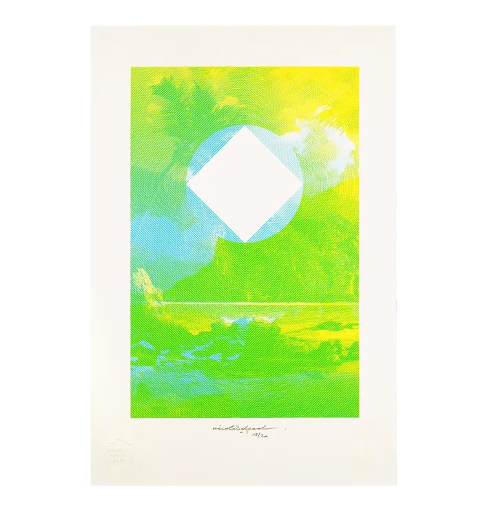 Enjoy Chaos III — Nicolas Delpech