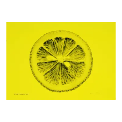 Frucht I / Scheibe 12-R