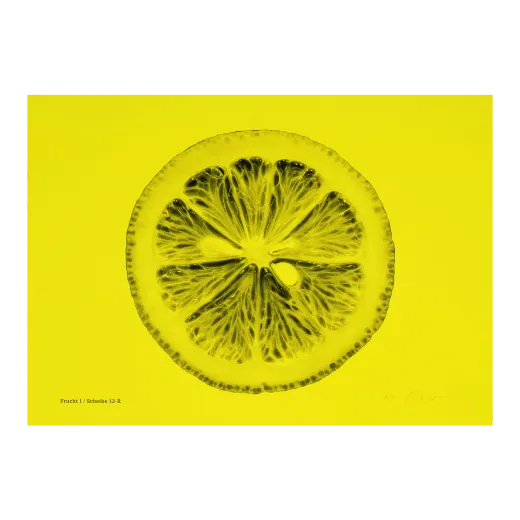 Frucht I / Scheibe 12-R
