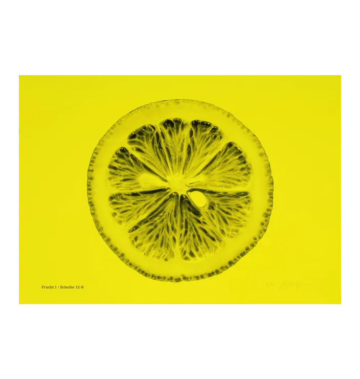 Frucht I / Scheibe 12-R — Yasutomo Ota