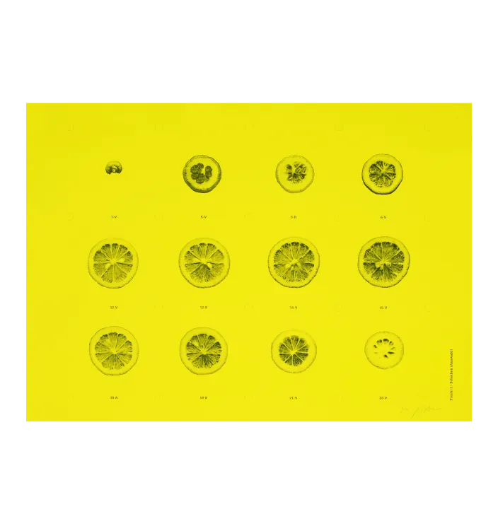 Frucht I / Scheiben (Auswahl) — Yasutomo Ota
