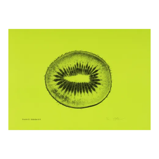 Frucht II / Scheibe 8-V