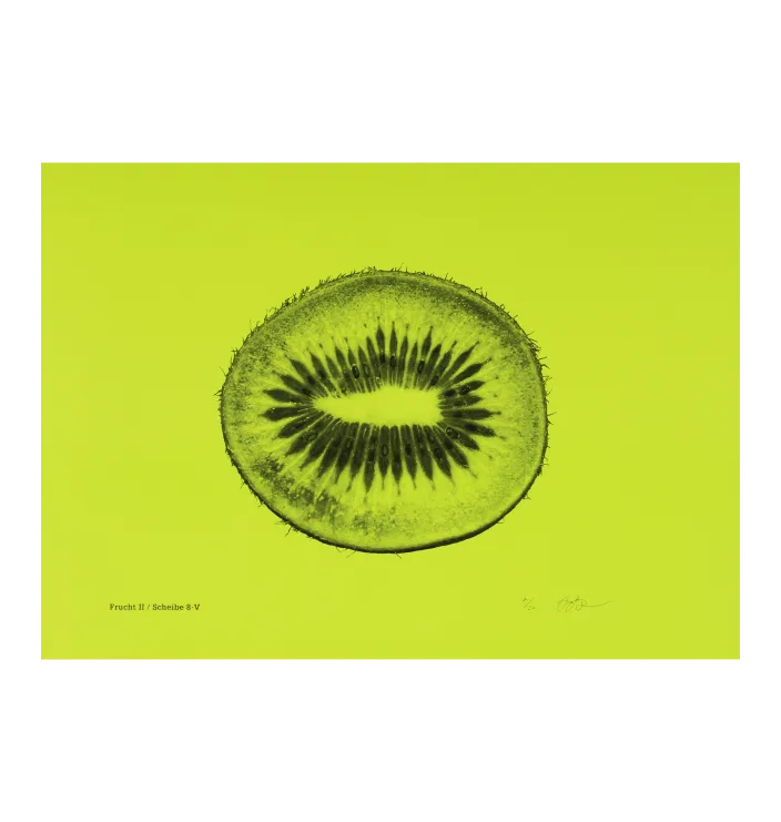 Frucht II / Scheibe 8-V — Yasutomo Ota
