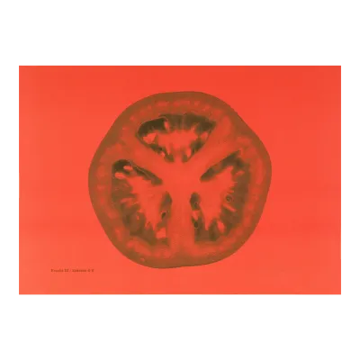 Frucht III / Scheibe 6-V