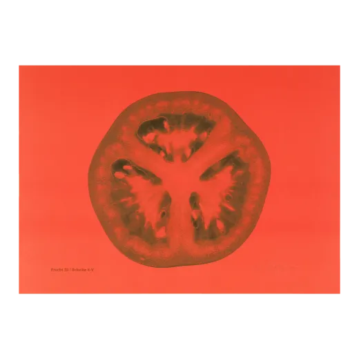 Frucht III / Scheibe 6-V