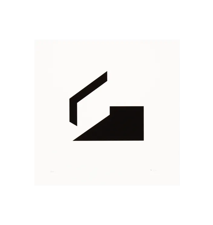 Functional Forms #32 — Jacek Dziubiński
