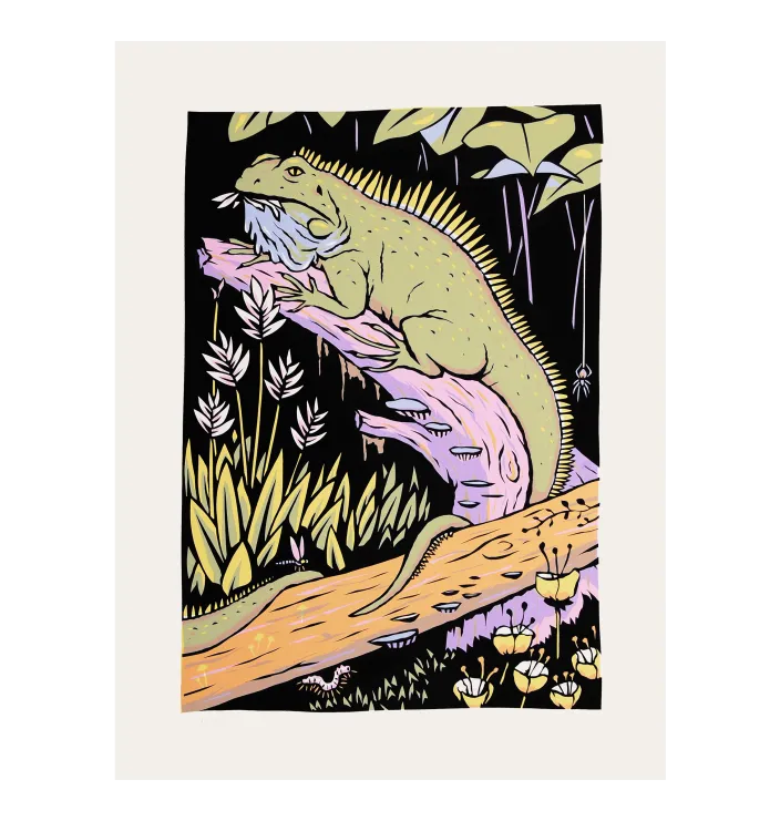 Janta Island #6 — Phillip Janta