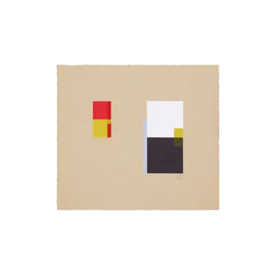 Joint