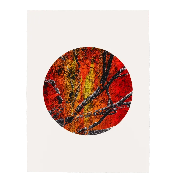 Kalga Orchard — Dylan Bakker