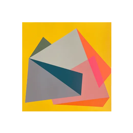 Kite 7