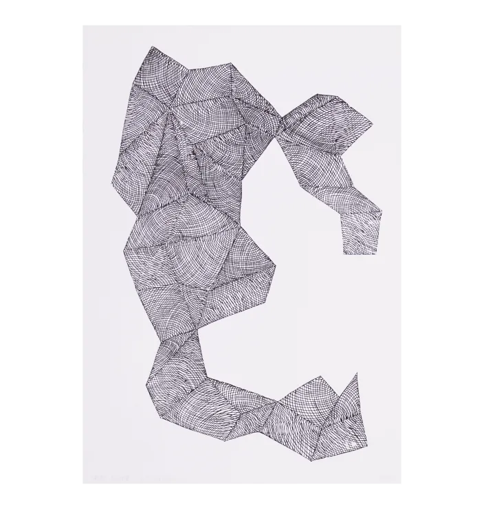 Lines 1 — Studio Amargo