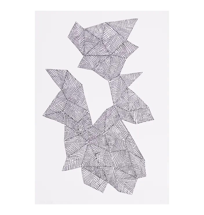 Lines 2 — Studio Amargo