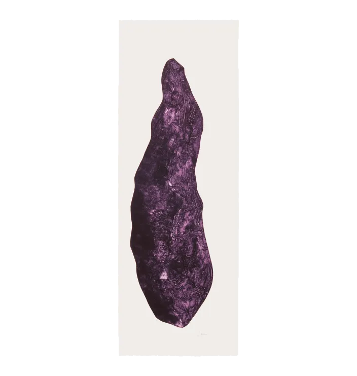 Meteorite purple — Christian Schellhorn