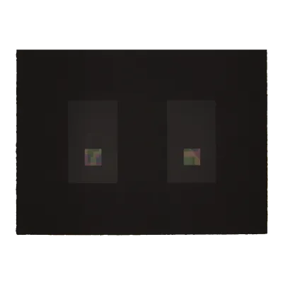 Split Foundation