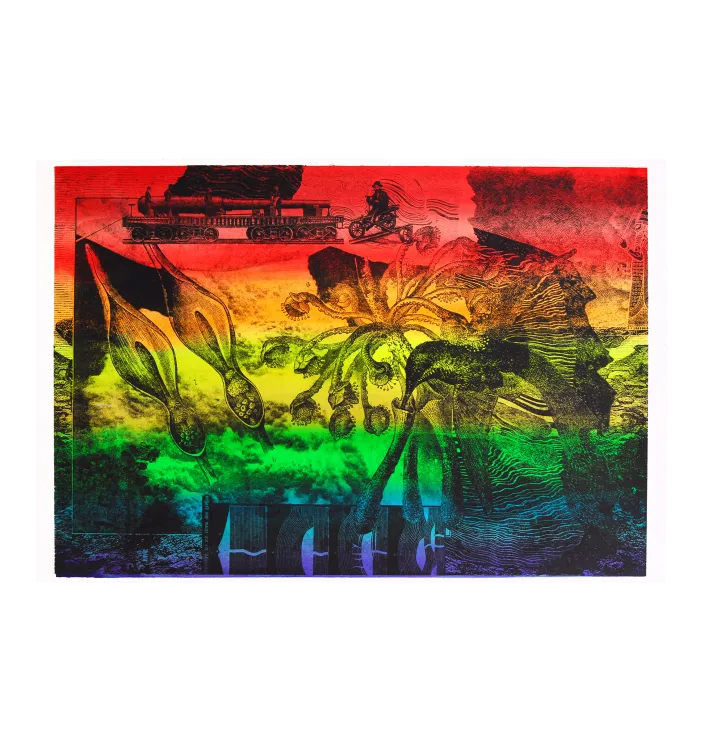Untitled 7 (Colibri) — Dylan Bakker